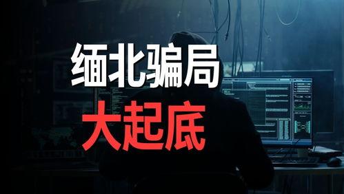 缅北事实爆料是真的吗视频,真相与谎言的交织